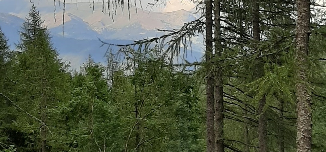 /media/huts/img/IMG-20191027-WA0002.jpg